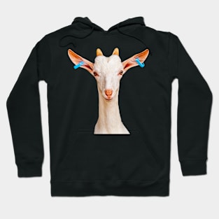 Who you looking at! Hoodie